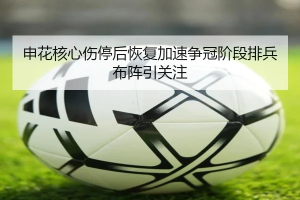 申花核心伤停后恢复加速争冠阶段排兵布阵引关注